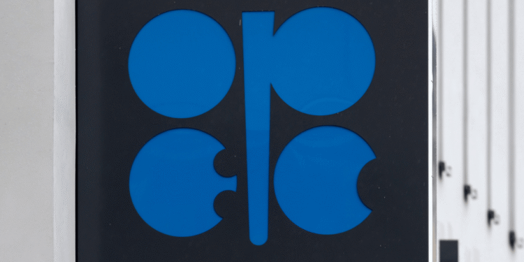 Países da Opep+ decidem sobre níveis de produção de petróleo para outubro; confira – Money Times